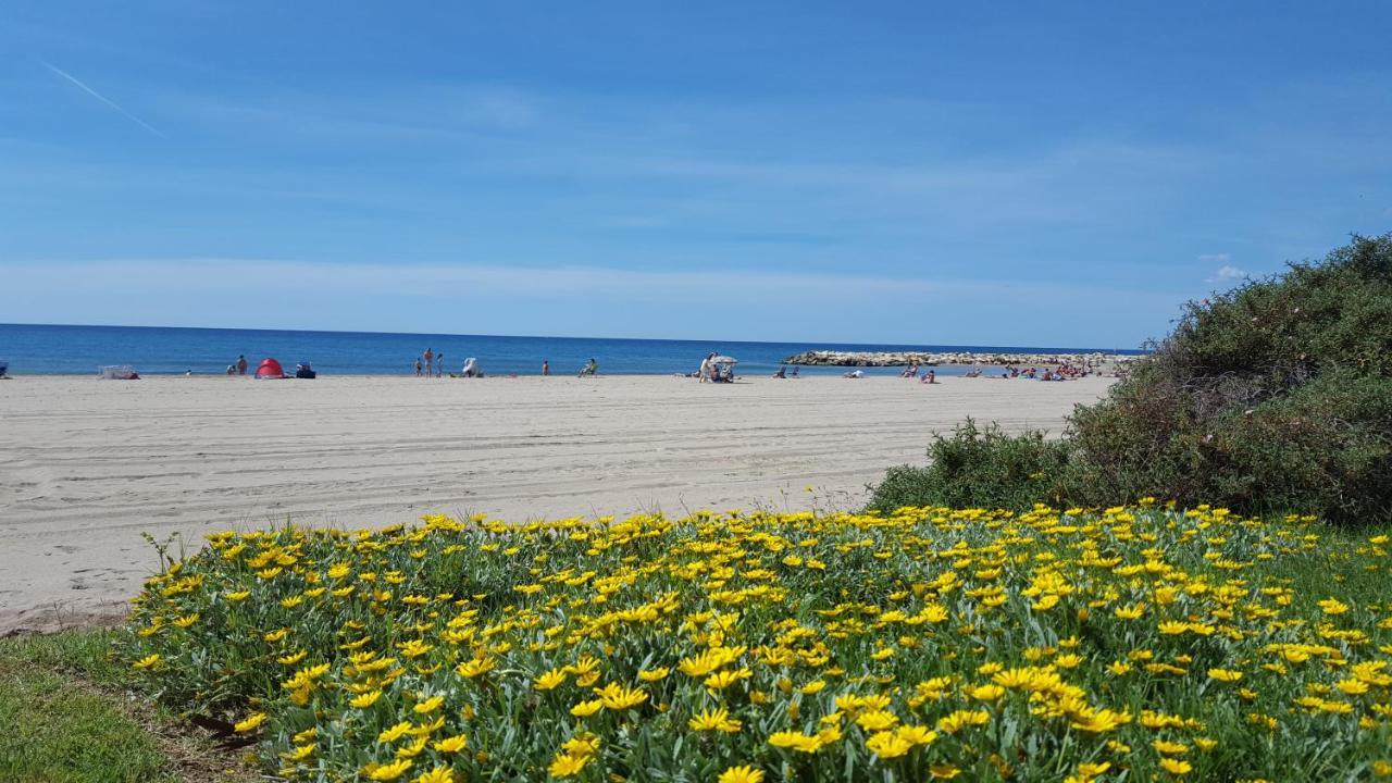 Camping La Llosa 캠브릴스 외부 사진
